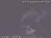 MightyWebcamHighFrontCatDark.jpg (11845 bytes)