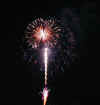 FountainBurst_Medium.jpg (63691 bytes)