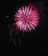 Pink_Medium.jpg (68150 bytes)