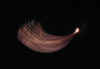 PointyComet.JPG (91133 bytes)