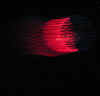 RedSperm_Medium.jpg (53862 bytes)