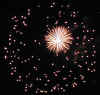 WhiteWithDots.JPG (51758 bytes)