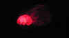 redmass.jpg (65693 bytes)