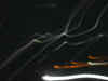 NightFromLiftSquiggle_Medium.JPG (18484 bytes)